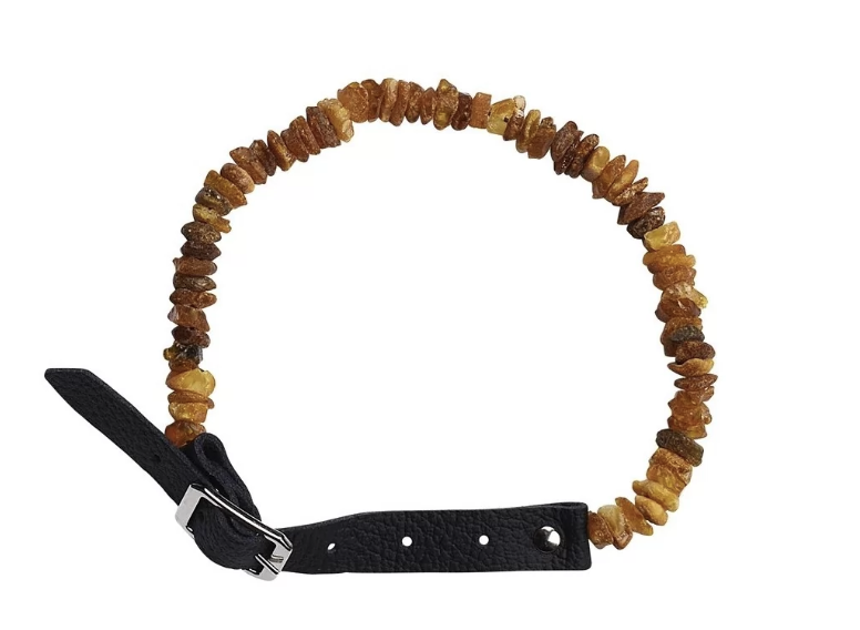 Bernstein-Hundehalsband