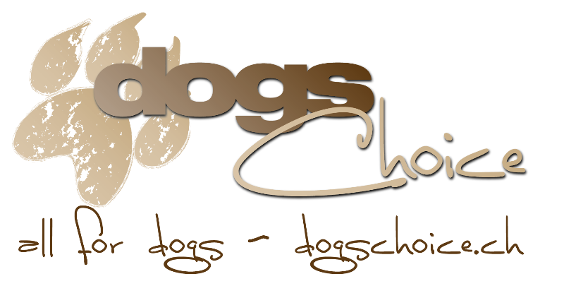 Zur Startseite gehen