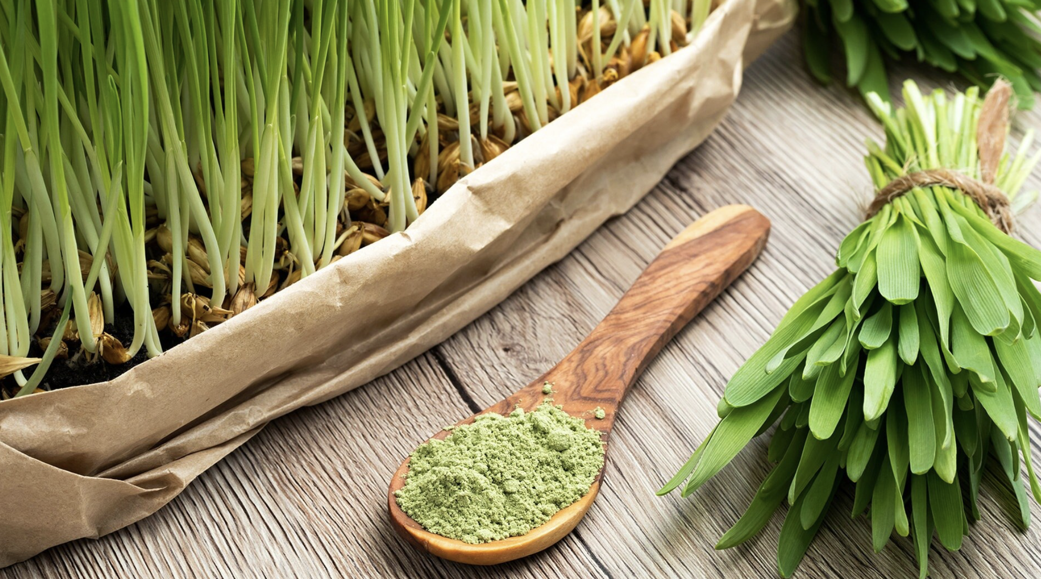 Gerstengras 200g