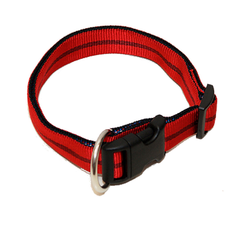 Hundehalsband Nylon Streifen