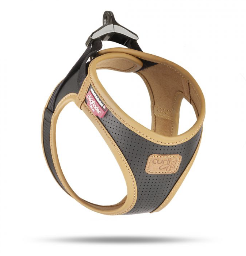 Curry Apple Leather Geschirr