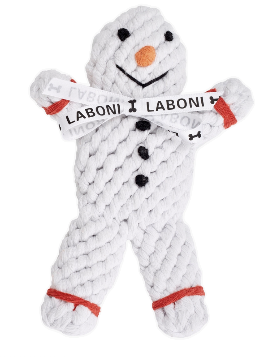 Shawn der Schneemann