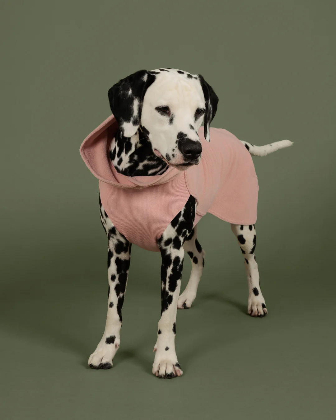 Paikka Seawool Hundeshirt 